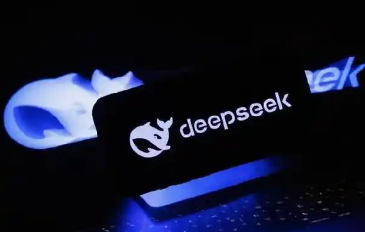 DeepSeek R1 671B 满血版：网页版与API版全攻略-OE源码网